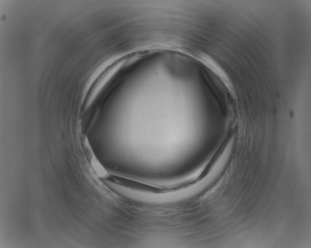 X0000067901340200604271843