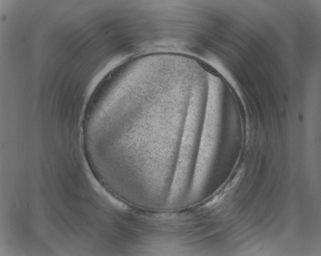 X0000067901341200604271843