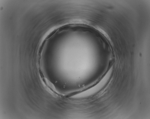 X0000067901342200604271843