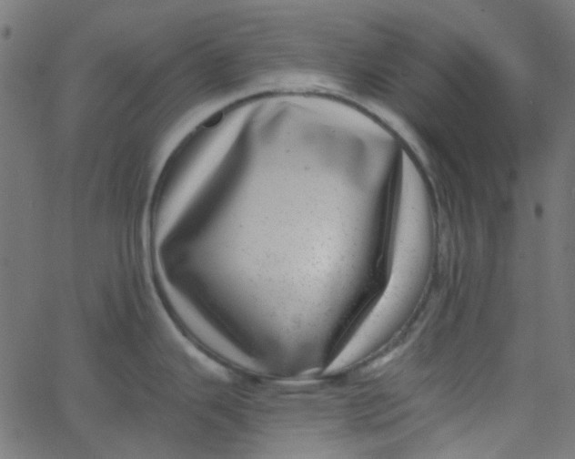 X0000067901343200604271843