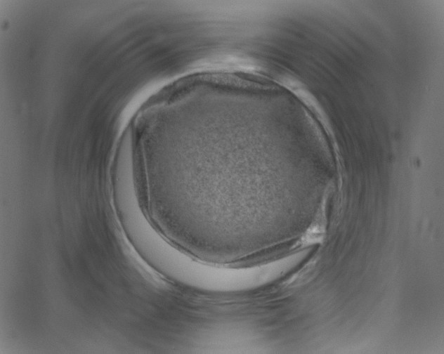 X0000067901344200604271843