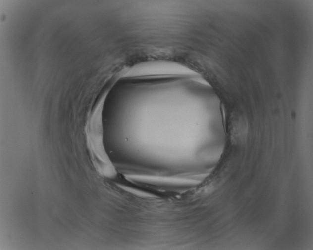 X0000067901345200604271842