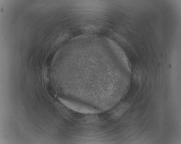 X0000067901346200604271842