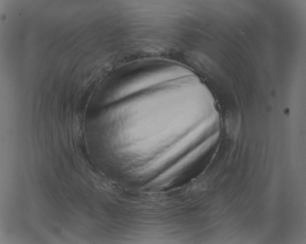 X0000067901347200604271842