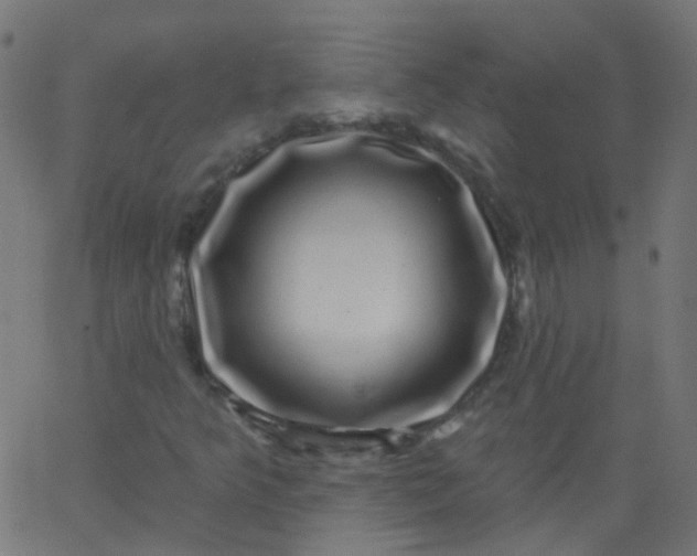 X0000067901349200604271842