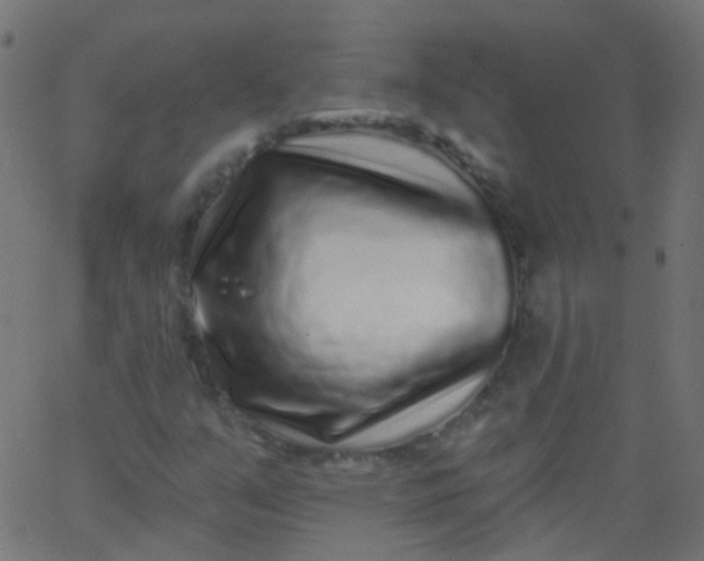 X0000067901351200604271842