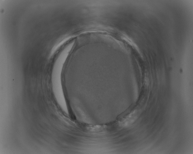 X0000067901352200604271842