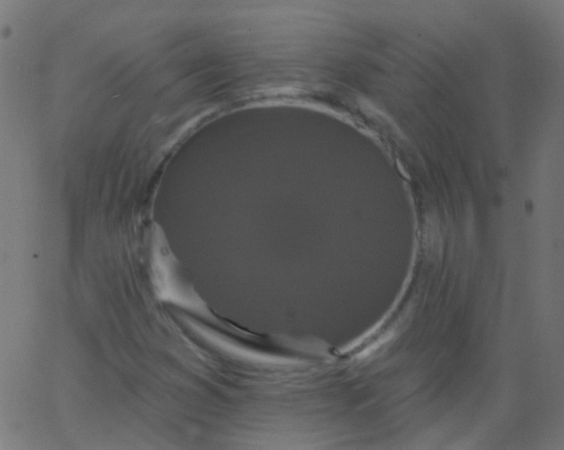 X0000067901353200604271842