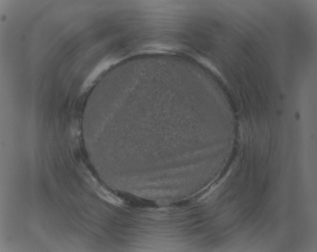 X0000067901355200604271842