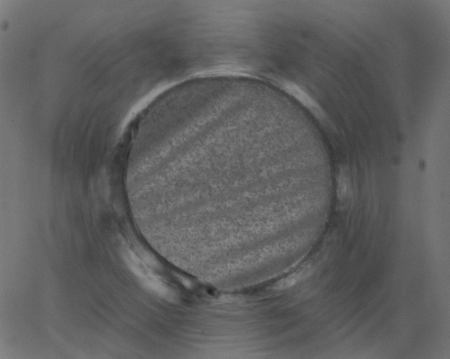 X0000067901356200604271842