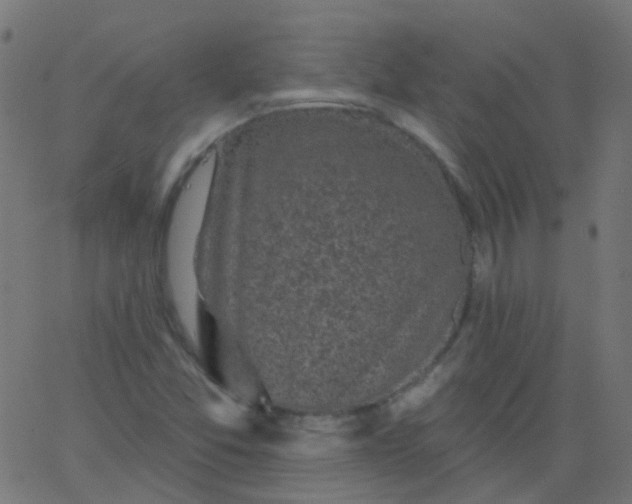 X0000067901357200604271842