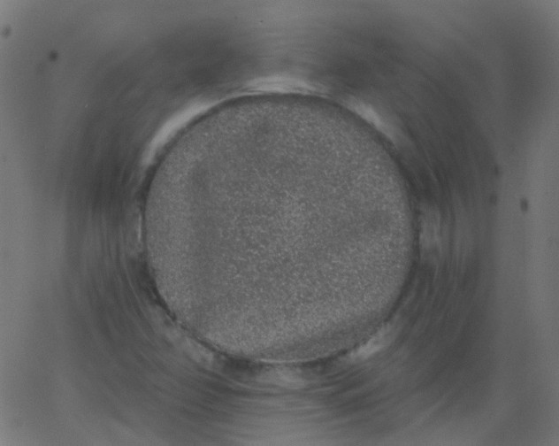 X0000067901358200604271842