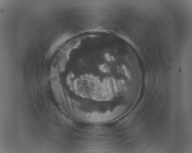 X0000067901359200604271842