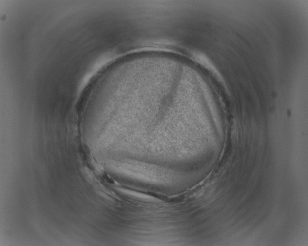 X0000067901360200604271842