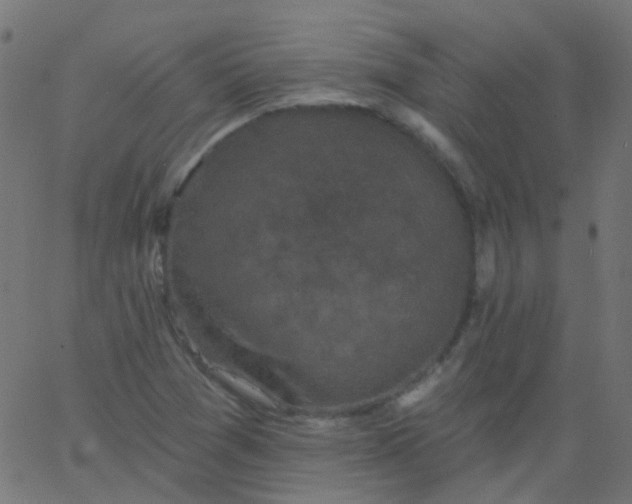 X0000067901361200604271842