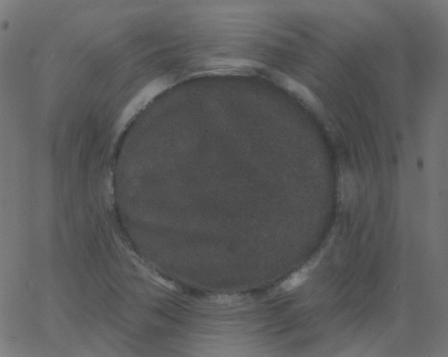 X0000067901362200604271842