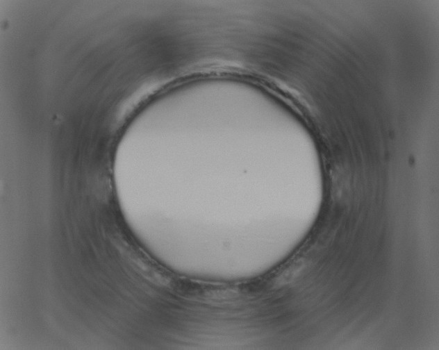 X0000067901363200604271842