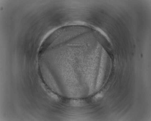 X0000067901364200604271842