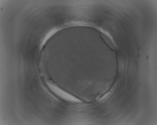 X0000067901365200604271842