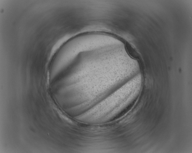 X0000067901366200604271842