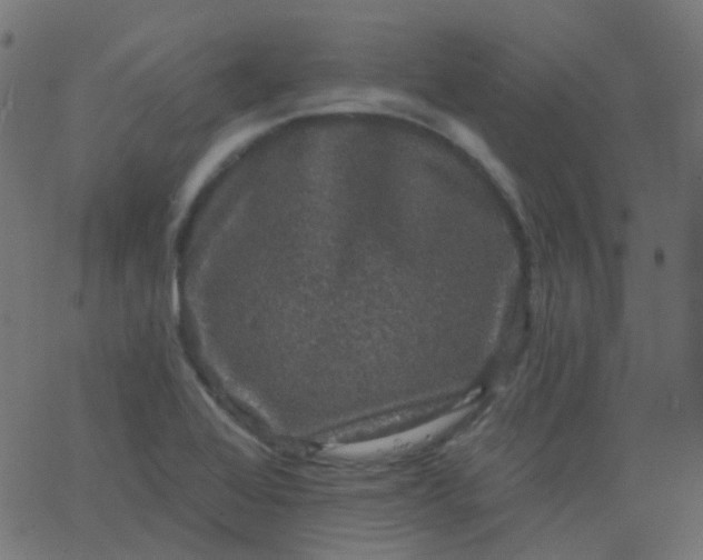 X0000067901368200604271842