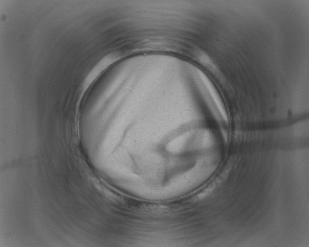 X0000067901370200604271842