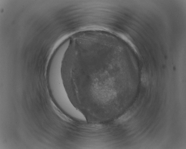 X0000067901372200604271842