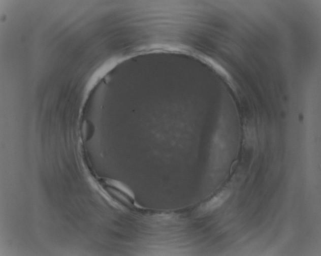 X0000067901373200604271842