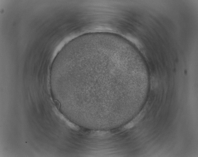 X0000067901374200604271842