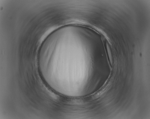 X0000067901375200604271842