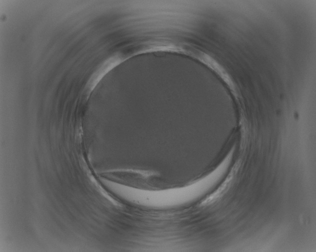 X0000067901377200604271841