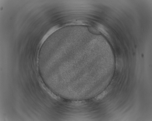 X0000067901378200604271841