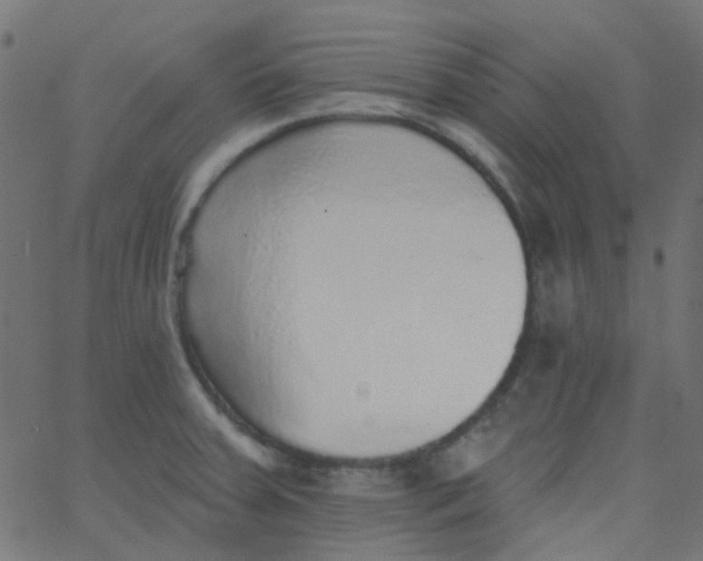 X0000067901379200604271841