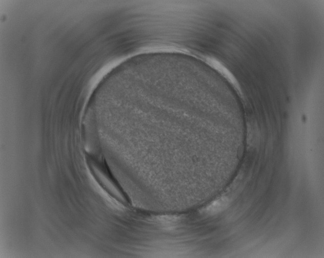 X0000067901380200604271841