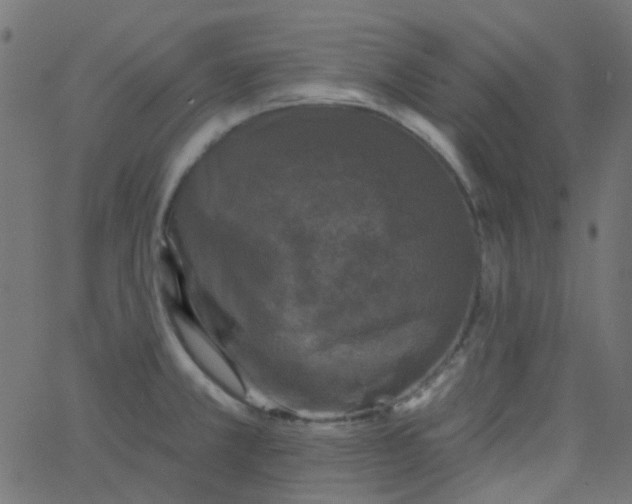 X0000067901381200604271841