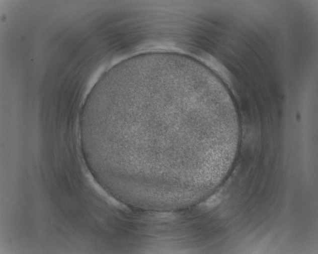 X0000067901382200604271841