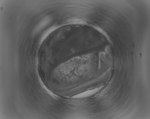 X0000067901383200604271841