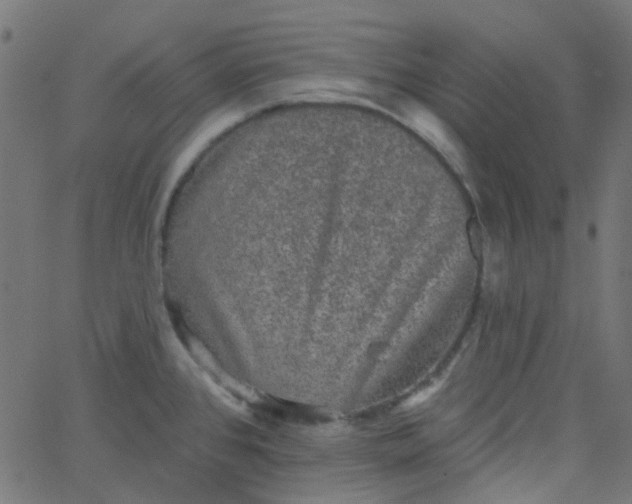 X0000067901384200604271841