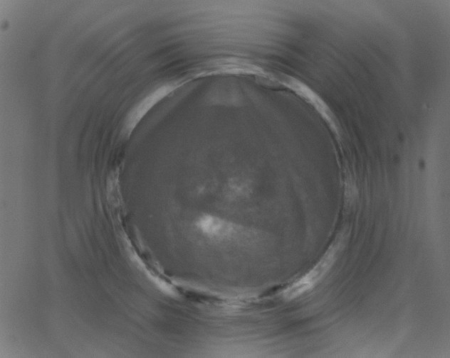 X0000067901385200604271841