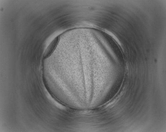 X0000067901387200604271841