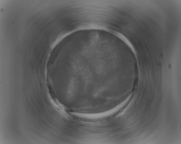 X0000067901388200604271841