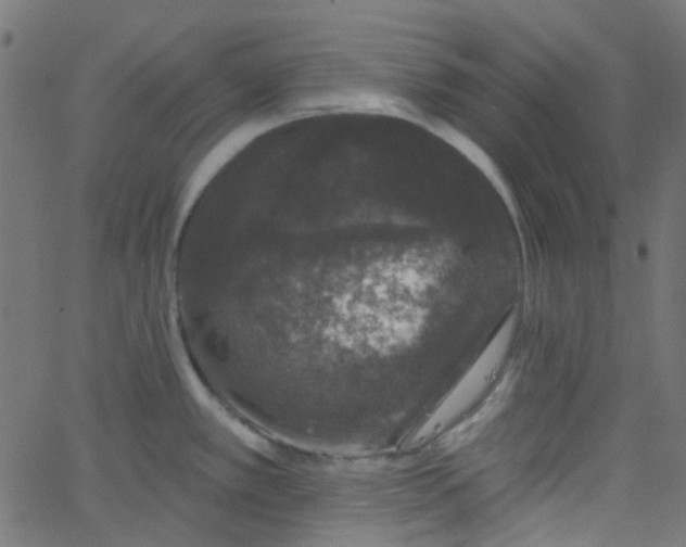 X0000067901389200604271841