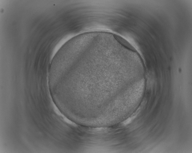 X0000067901390200604271841