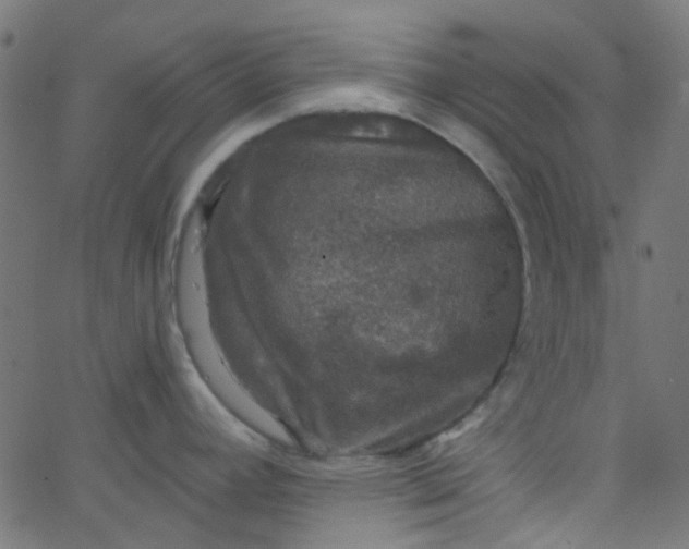 X0000067901392200604271841