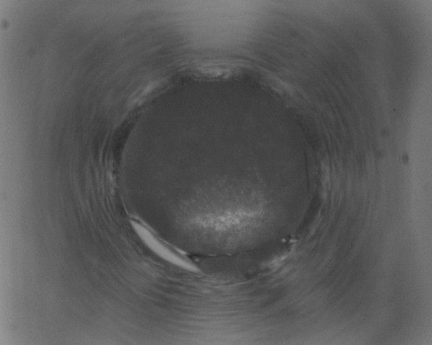 X0000067901394200604271840