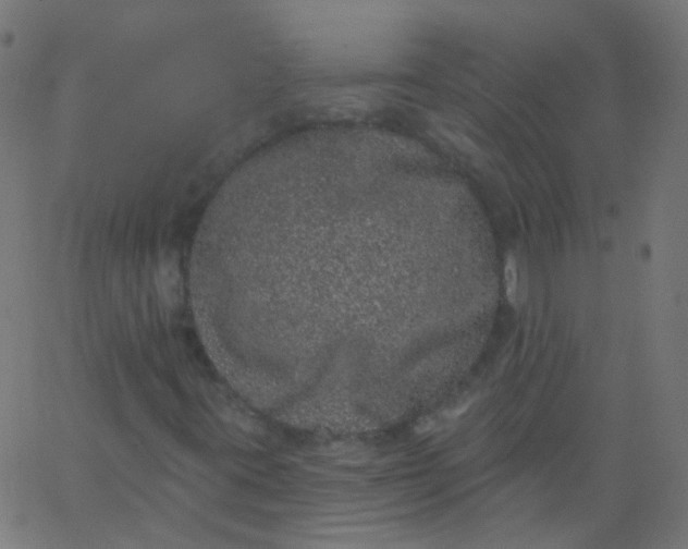 X0000067901395200604271840