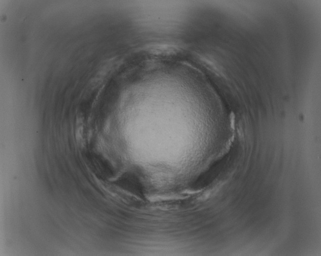 X0000067901396200604271840