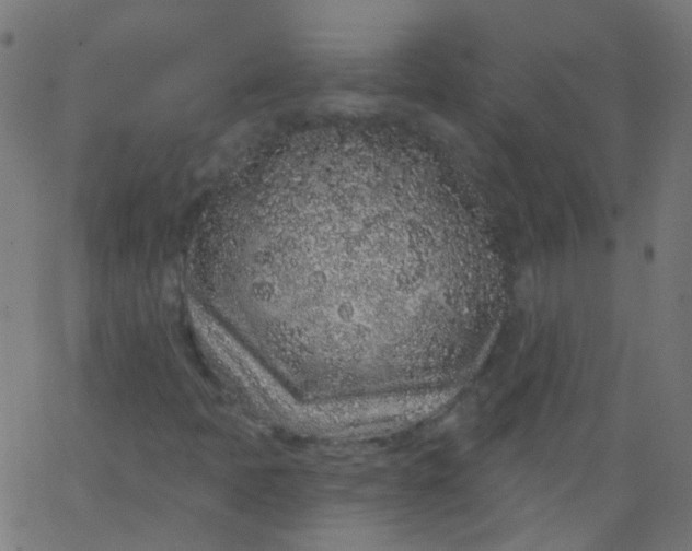 X0000067901397200604271841