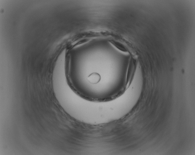 X0000067901398200604271841