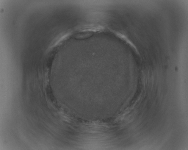 X0000067901399200604271841